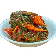 농가살리기 전라도 전통 햇 여수고들빼기, 1개, 1kg