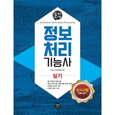 돈시아정보처리기능사 실기, 시대인