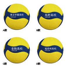 BANDAI 排球少年 X MIKASA 捏捏排球 轉蛋 扭蛋 排球 公仔 運動 吊飾 全4款, 1個, 整套1C542