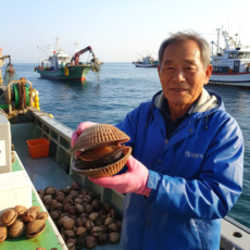 국내산 여수 검정새조개 당일조업 자연산, 1개, 200g