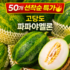 [산지직송] 고령 파파야멜론 초고당도 꿀과즙 제철 프리미엄 메론, 1박스, 2kg (3-7과)