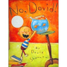 No David!, Blue Sky Press, No, David!, David Shannon(저)