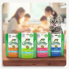 健綠 Greenies 貓咪潔牙餅 60g 薄荷/鮮鮭 口腔保健零食 貓點心 貓零食 貓潔牙, 1個, 舒壓貓薄荷口味60g,缺貨自動換口味 勿接受勿下單