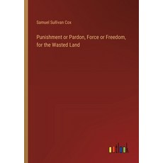 (영문도서) Punishment or Pardon Force or Freedom for the Wasted Land Paperback, Outlook Verlag, English, 9783385384347