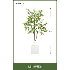 인테리어 조화 레몬나무 생화같은 인조화분, 1.5m 레몬나무 + 화이트 사각