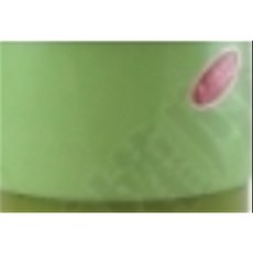 聖火牌 CY-280S 三人份小電鍋不鏽鋼內鍋 迷你節能單身貴族首選, 綠色, CY-280A