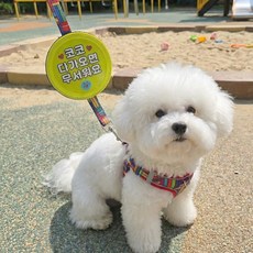 밤산책 필수 반사 펫티켓 강아지 목걸이 안전 이름표, 1개, 겁이많아 짖어요