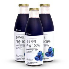 [100% 착즙] 블루베리주스 NFC 블루베리즙 원액쥬스, 3개, 1L