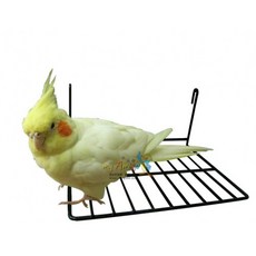 阿迷購Amigo《足部紓壓休憩架》吊掛玩具-幼鳥學習抓握-生病-年長鳥適用, 隨機（較快速出貨）, 1個