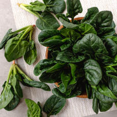 [재구매율1위]몬나니마켓 산지직송 달달한 남해시금치 남해초 포항초, 1박스, 1kg