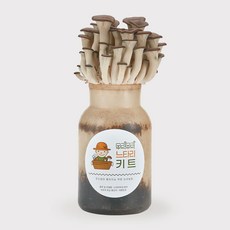 무럭무럭 느타리 버섯 키우기 키트 1입, 1개