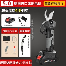 電動剪刀 充電式果樹園林修枝剪 鋰電花木園藝高空剪枝神器, 1個, {豪華款全能型}5.0公分+原裝5節電池