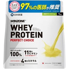 WINZONE 윈존 유청 단백질 상쾌한 사워 파인 맛 1kg 비타민 11종 미네랄 4종 WPC 국내 제조 일본신약, 1개, 1g