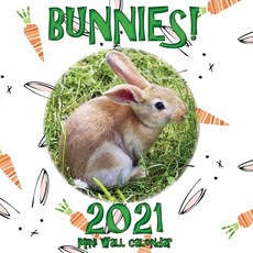 Bunnies! 2021 Mini Wall Calendar Paperback, Sea Wall, English, 9781713901334