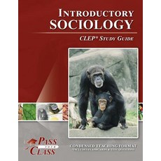 (영문도서) Introductory Sociology CLEP Test Study Guide Paperback, Breely Crush Publishing, English, 9781614330202