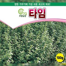 허브씨앗종자 타임 1000립