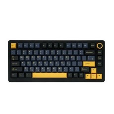 큐센 풀윤활 가스켓 유무선 기계식 키보드, BLACK계열, QSENN Q75 PBT, 민트축
