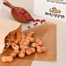 땅콩빵 1박스(90개) 땅콩 가득 태전땅콩빵 대구 서문시장 아침식사대용 휴게소 대구명물 택배 간식, 500g, 1개