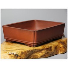 小樹安每 日本盆缽 桐蔭軒 朱泥下紐段足長方鉢 25cm, 1個