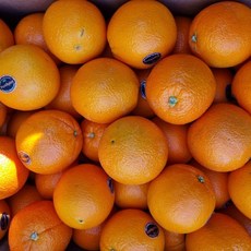 수입과일 S 블랙라벨 오렌지 5입 [P], 없음