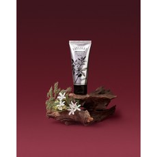 엑스퍼센트 데이라이트 기계 태닝 인텐시파이어 베이스 로션 100ml 1개, 100g