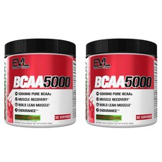 EVLUTIONNUTRITION BCAA 5000mg, 2개, 249g