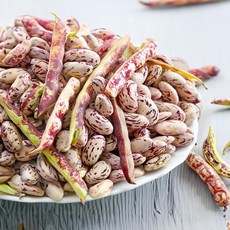 자연웰 21가지 잡곡 모음 수입 호랑이콩 300g/미국산 호랑이콩 매화강낭콩 매화콩, 1개, 300g