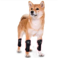 강아지 적외선 치료기 온열 벨트 허리 관절 노령견, 1개, 60구 패드(10kg 이하)