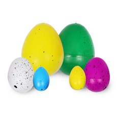 홍토미 공룡알 실험세트 과학실험세트