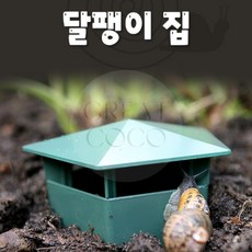 그코 달팽이 집 달팽이키우기, 1