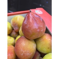 자두 대왕자두 로얄과 김천자두 김천 추희 도담 왕자두, 1박스, 1kg 로얄과(7과~10과)