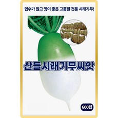 산들 시래기무 씨앗 600립 엽수 많고 맛 좋은 전통 소량 시래기 무씨 종자, 1개
