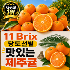 고당도 제주 감귤 밀감 귤, 1박스, 3kg