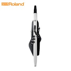 ROLAND 롤랜드 에어로폰 AE-20, 1개
