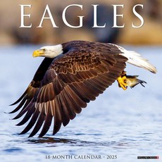 (영문도서)Eagles 2026 12 X 12 Wall Calendar Spiral, Willow Creek Press Calendars, English, 9781549251030