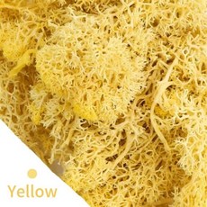 20g 인공 녹색 이끼 식물 영원한 생명 잔디 미니 풍경 가짜 DIY 공예 홈 거실 정원 장식, 9)20gram, Yellow