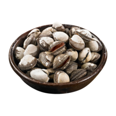 [특선] 벌교 꼬막 제철 산지직송 새꼬막, 1개, 2kg (중)