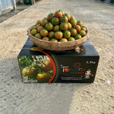 [농장직송] 부산 대저 토마토 농협인증 고당도, 1박스, 2.5kg (대과 L)