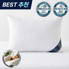 RAOM 5성급 호텔 베개 프리미엄 숙면베개, 1개, 화이트