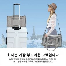 HN 미니 고양이 이동장 강아지 가방 애견 캐리어 산책 백팩 포대기 케이지 기내용 슬링백