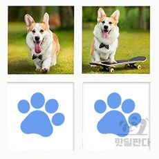 핫딜판다 발도장 스탬프 아기발도장키트, 파