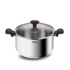 Tefal 特福 電磁爐適用不鏽鋼雙柄湯鍋, 24cm, 混色, 1組