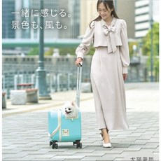 《胖頭龍批發工廠》GEX 任我行寵物臥鋪箱 寵物外出提籠 貓狗外出便攜包 透氣舒適寵物旅行箱, 1個, 寵物臥鋪箱,藍色