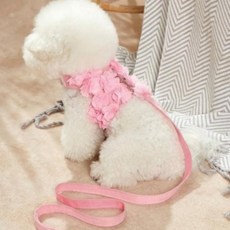 귀귀운 강아지 하네스 가슴줄 세트 애견 산책줄 가벼운 리드줄 반려동물 외출용품 소형견 하네스 고양이 가, 1개, ONE_L