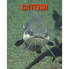Catfish: Fun Facts & Cool Pictures Paperback, Independently Published, English, 9798564575720