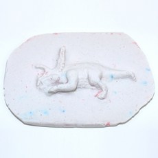 사이언쌤 공룡화석 만들기 5인용, 1세트, 추가시료(석고 알지네이트)구매