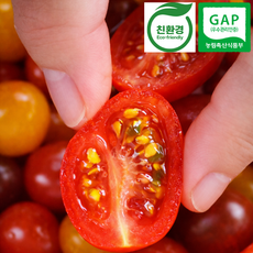 믿음농산 국내산 대추 방울 토마토, 1개, 1kg