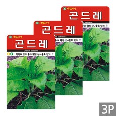 세인화분 곤드레 100립 - 국산 나물 산나물 씨 씨앗 고려 엉겅퀴 다년생, 3개
