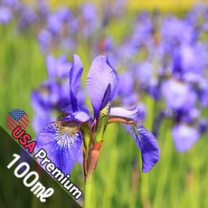 C003 생제르망 100ml (34 Saint Germain) 프래그런스오일 캔들 디퓨저 향수, 1개