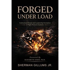 (英文圖書)Forged Under Load: Institutional Power and Leadership Formation in High-Pressure... 平裝版, Palmetto Publishing, 英文, 平裝本